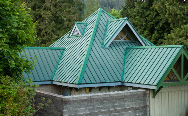 Best Roof Moss and Algae Removal  in Burr Ridge, IL