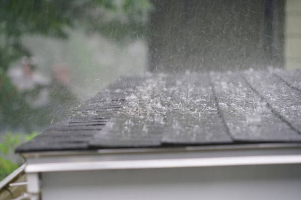  Burr Ridge, IL Roofing Service Pros