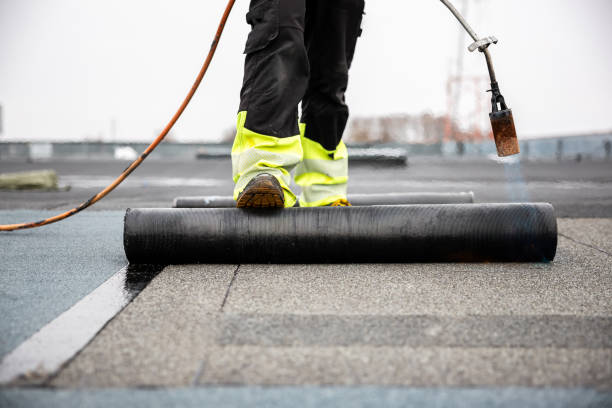 Best Asphalt Shingles Roofing  in Burr Ridge, IL