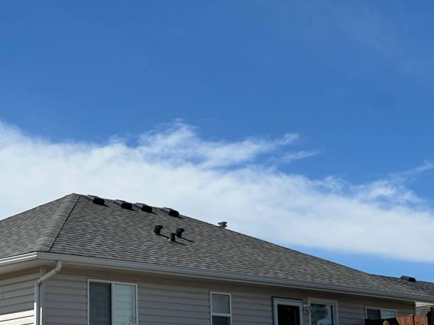 Best Steel Roofing  in Burr Ridge, IL